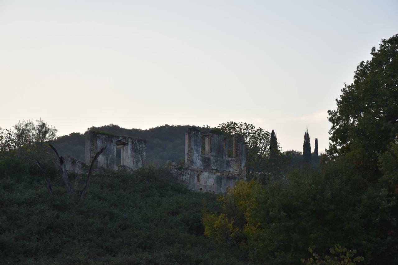 Epavlis Nadine Corfu Villa Gouvia Bagian luar foto